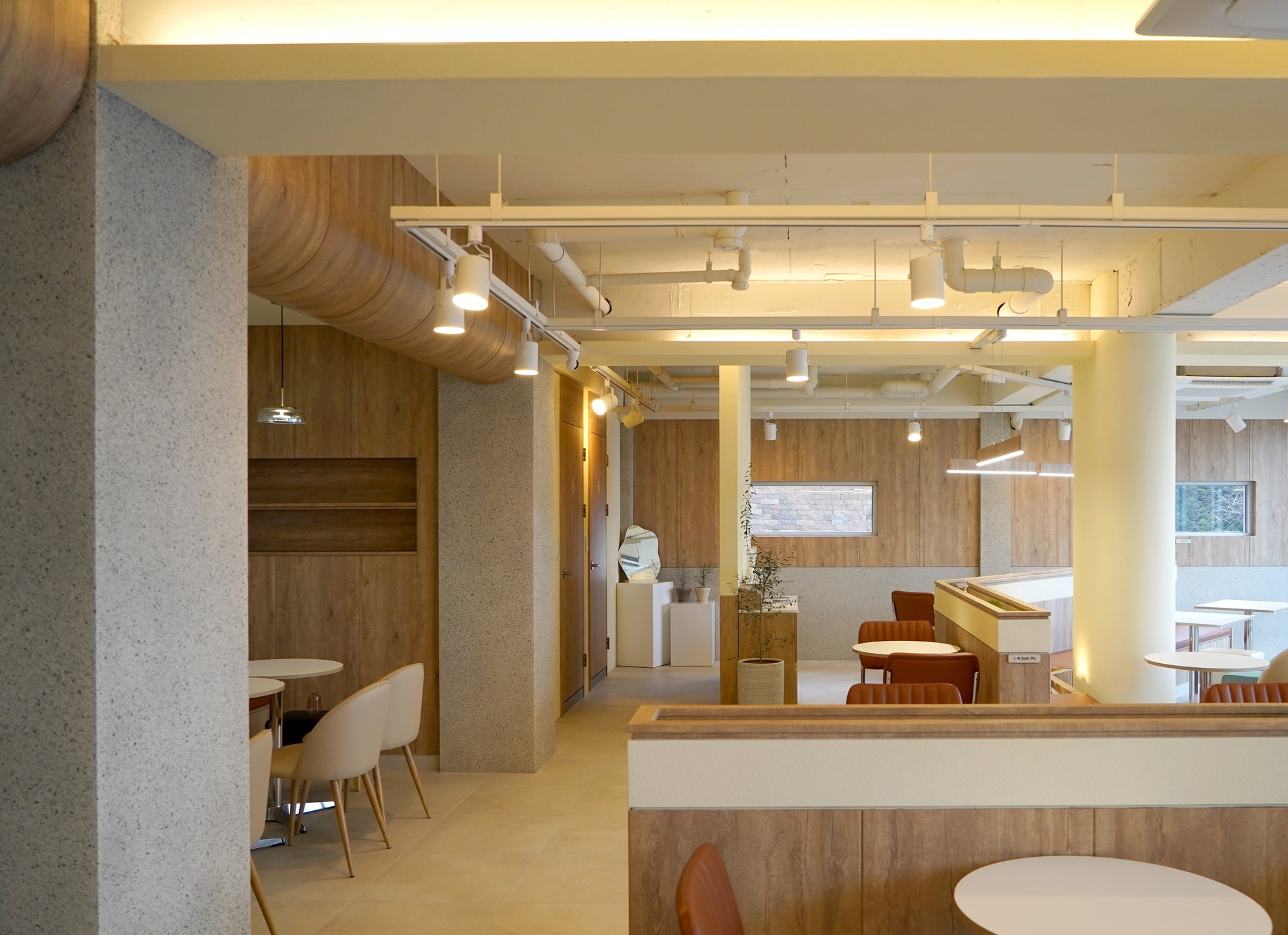 Project Image 19
